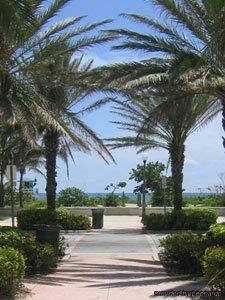 Hawaii Hotel Miami Beach Eksteriør billede